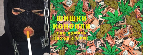 твердый Иннополис