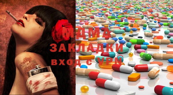 прущие грибы Инта
