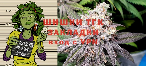 прущие грибы Инта