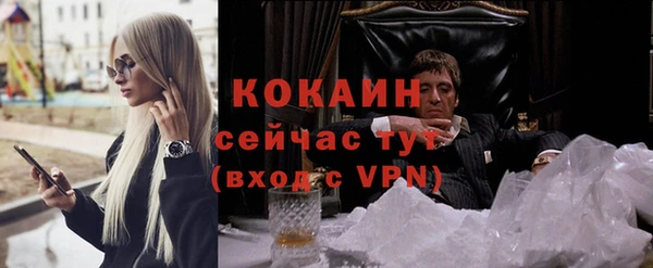 твердый Иннополис