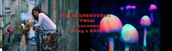 прущие грибы Инта