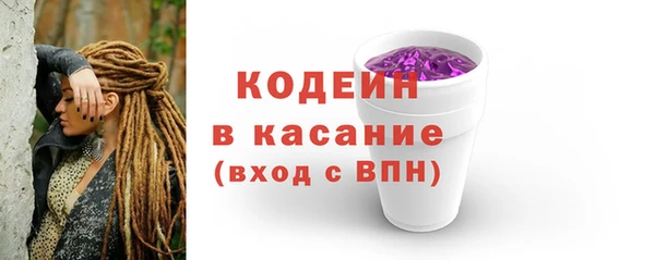 прущие грибы Инта