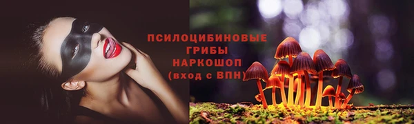 твердый Иннополис