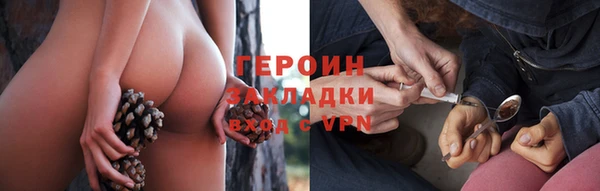 прущие грибы Инта