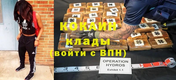 a pvp Инсар