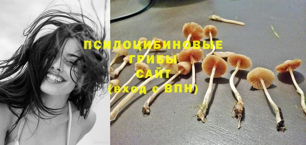 a pvp Инсар
