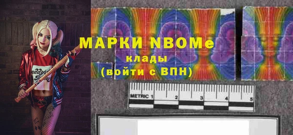прущие грибы Инта