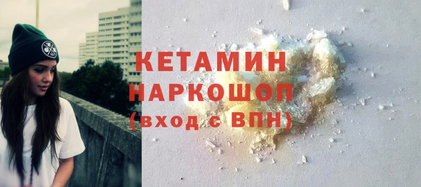прущие грибы Инта