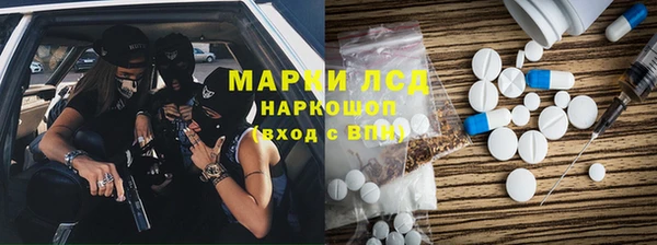 прущие грибы Инта