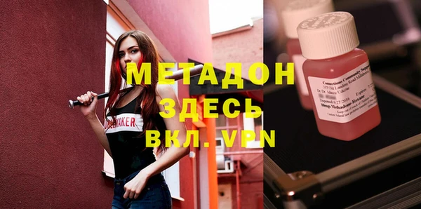 прущие грибы Инта