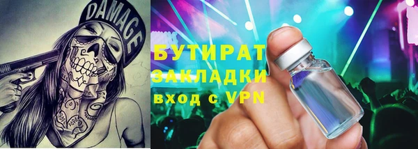 прущие грибы Инта