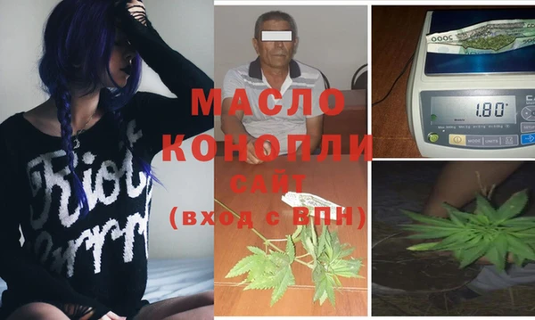 прущие грибы Инта