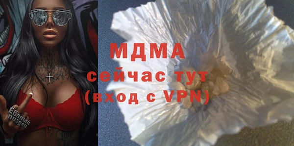 прущие грибы Инта